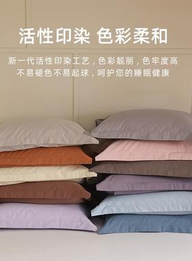 秋冬纯色100支长绒棉全棉枕套一对装枕家用加纯棉厚头套48cm74RQK