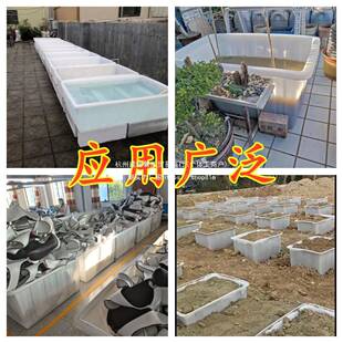 盆箱加AJZ厚养殖浅盆胶长方形育苗牛盆筋养龟卖水鱼水盆塑料盆熟