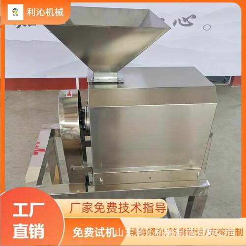 大型番茄去皮打浆机樱桃李荔枝去核打浆机不锈钢水果去核设备