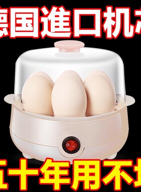 全自动断电多功能双层蒸蛋器特价