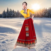 套装 藏族舞蹈演出服装 女成人广场舞新款 艺考练习民族跳舞半身裙子