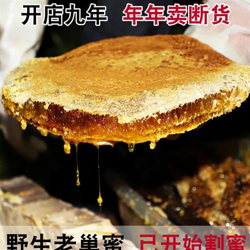 正宗野生蜂巢蜜嚼着吃蜂巢蜂蜜纯正老巢蜜天然农家土蜂蜜自产蜂窝