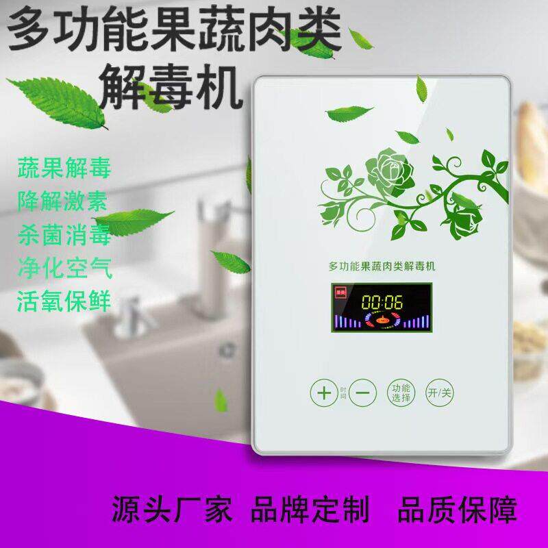 多功能活氧果蔬食品解毒清洗机 家用水处理消毒机 臭氧机发生器