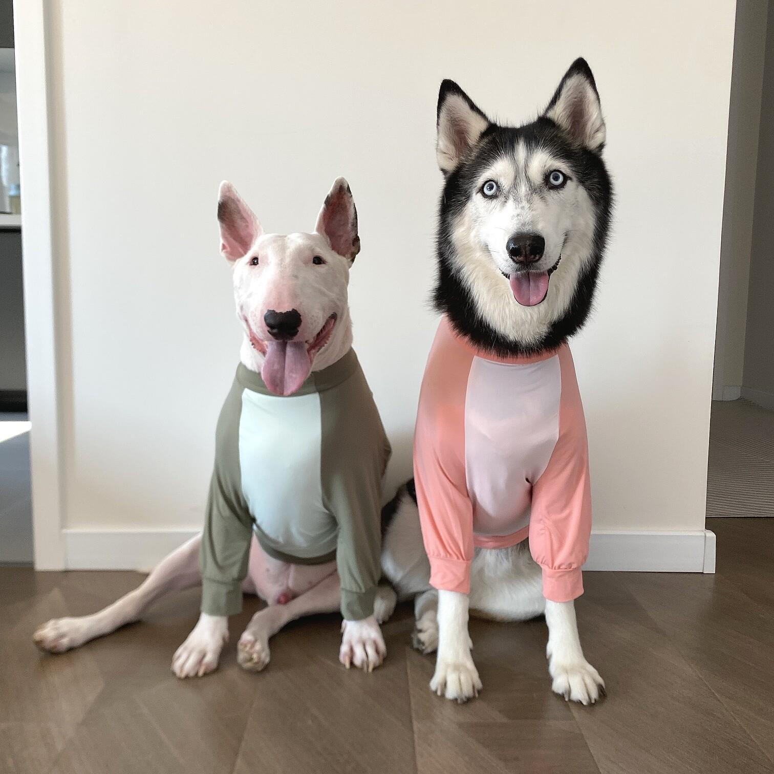 三色短款冰丝护肘服春夏透气防晒宠物大型犬护膝套大狗保护袖套