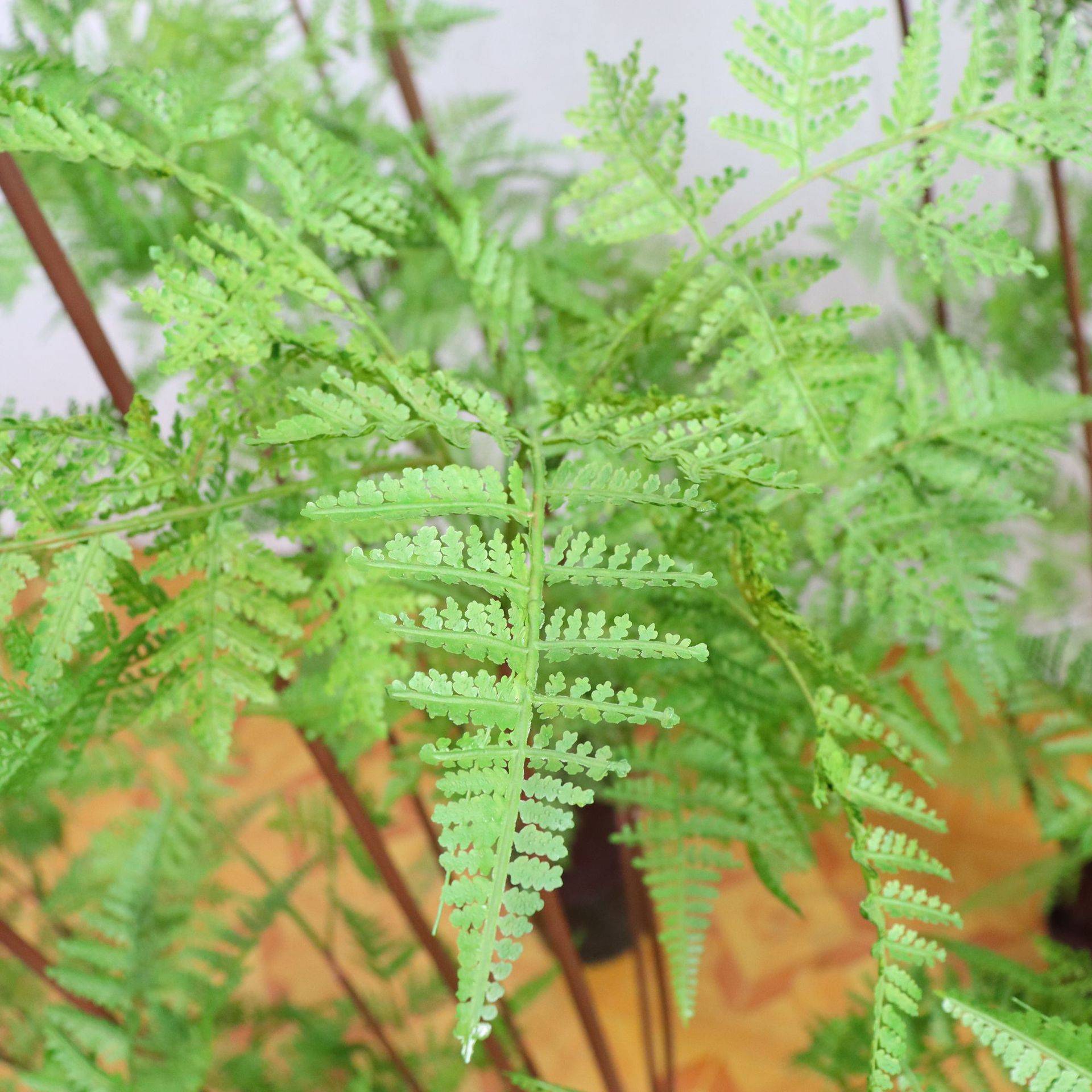 仿真蕨类植物铁线蕨家居橱窗造景装饰摆件落地绿植盆栽仿真花