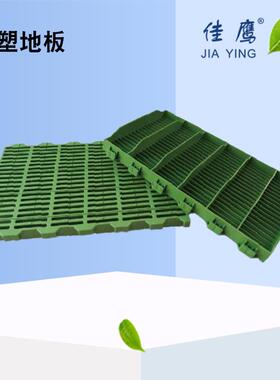 0塑料仔猪地板漏L粪板阻燃地板60*50*65 注塑地板0W6050 鲁威