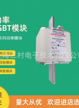 全新熔断器保险丝NH2UD69V700PVJx320490 NH3UD69V315PVF320579