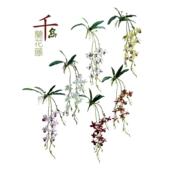 模拟千岛兰花藤蔓垂坠花卉植物墙挂装 饰室内窗户客厅装 饰品婚礼道