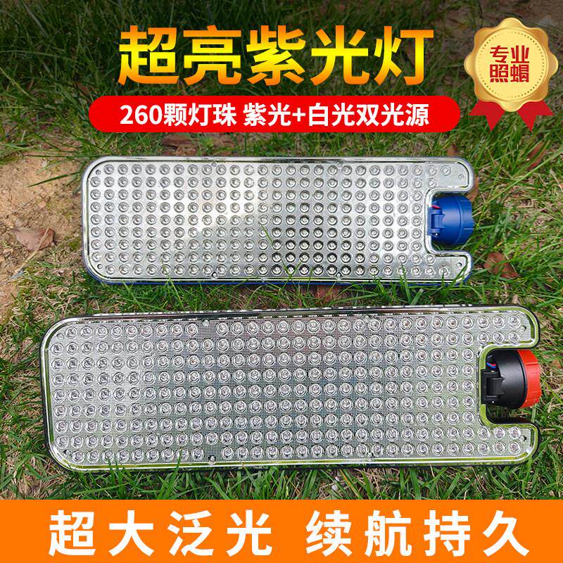 260颗蝎子灯充电式紫光灯6锂电充电式超亮强光大功率超长续航豆虫