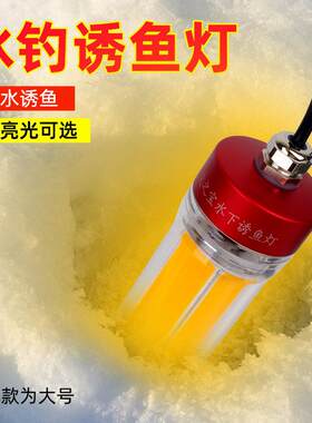 钓哈哈冰钓诱鱼灯筏钓水下照明公鱼冬钓桥筏野钓夜钓鱼专用捕鱼灯