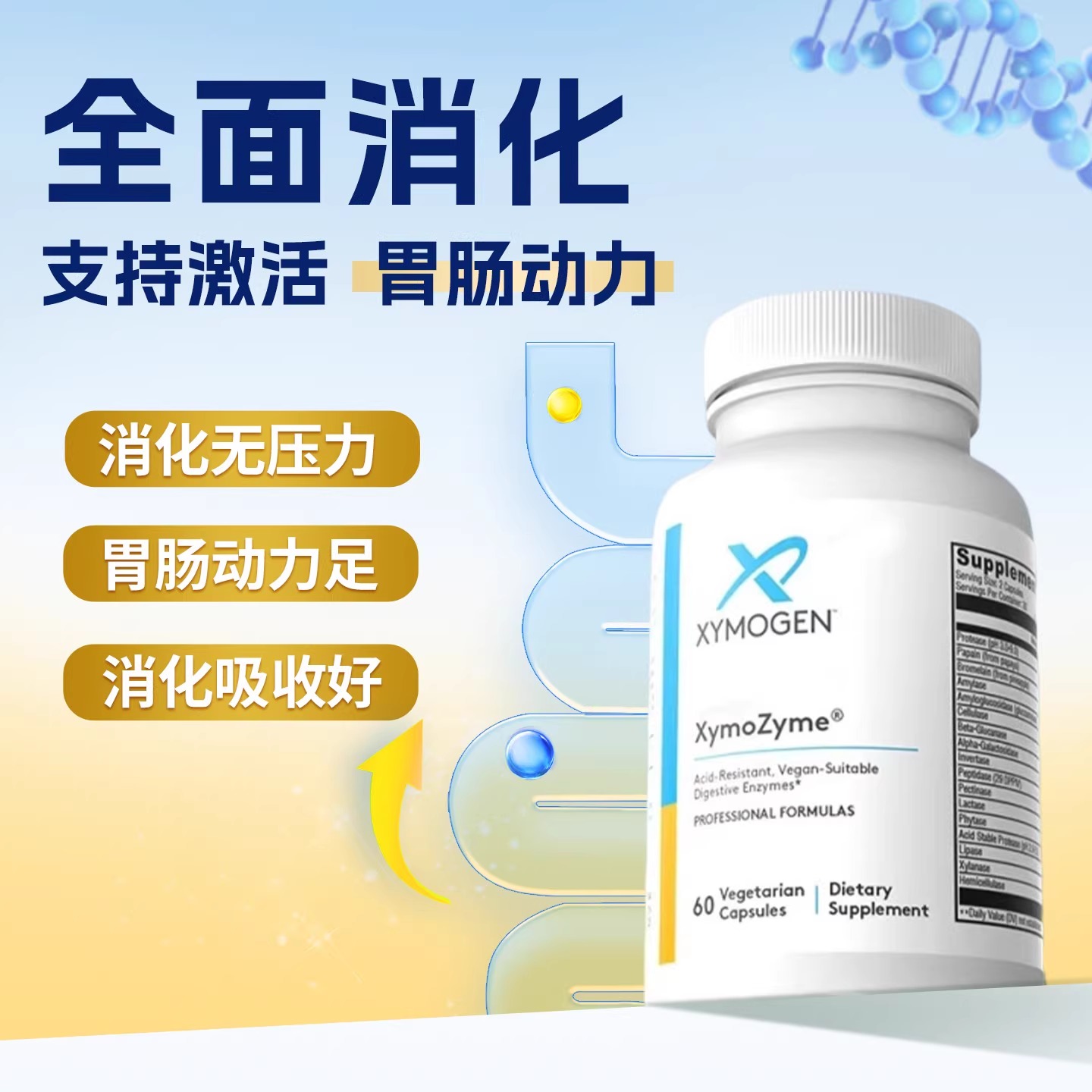 健式xymogen消化酶胶囊60粒