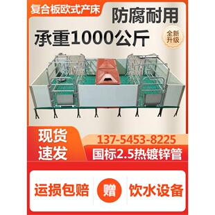 复合板欧式母猪产床 2.5热镀锌产保一体分娩床 PVC复合板双体产床