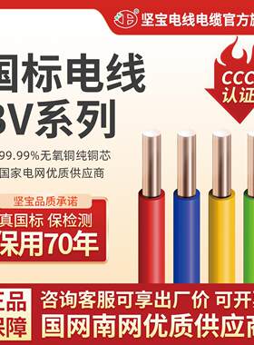 坚宝电线电缆铜线BV1.5/2.5/4/6平方纯铜芯国标家装铜线100米1卷