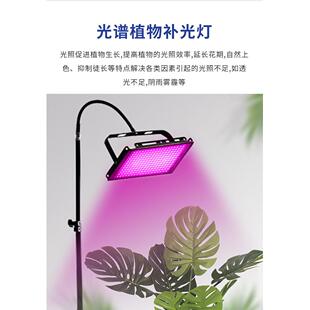 落地式全光谱粉红色紫红色投射灯LED植物生长灯补光灯100w红光