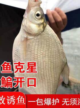 四季钓鳊鱼饵野钓专用鱼饵料鱼食黑坑草鱼野钓池塘专攻武昌鱼配方