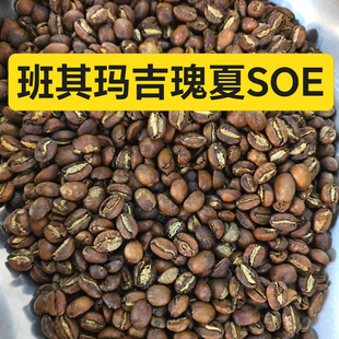 质豆 手冲咖啡单品班其玛吉瑰夏SOE