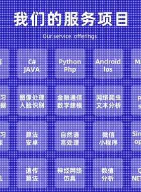 python代编程matlab深度学习C++C语言php代码定制程序代写javaC#