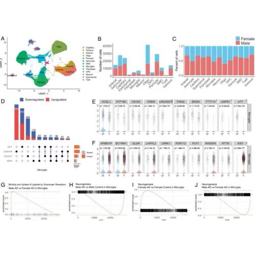 生信分析服务/公共数据库单细胞数据分析/10xRNA/scRNA数据分析