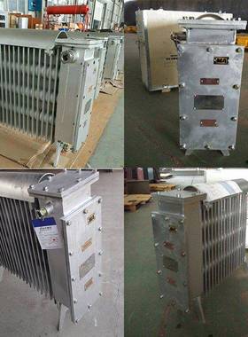 三正集团RB-2000/127(A)煤矿用隔爆型电热取暖器 井下暖气片