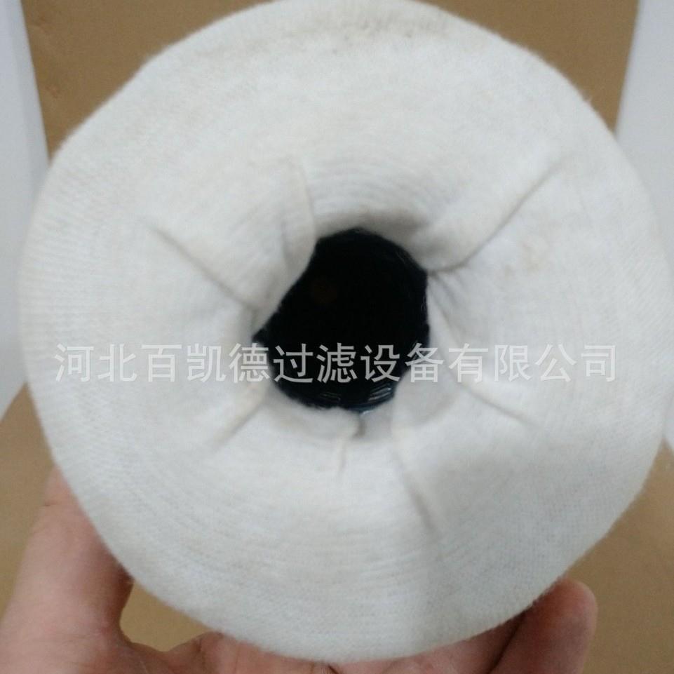 适用于瓦克夏燃气发电机滤芯C216-0/18 C16-0/18 过滤器168660B