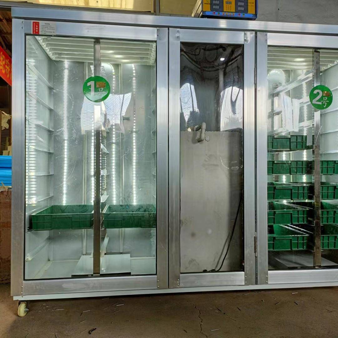 安徽多功能自动豆芽机 商用一体机不用专人看 豆芽生长快效率高厂