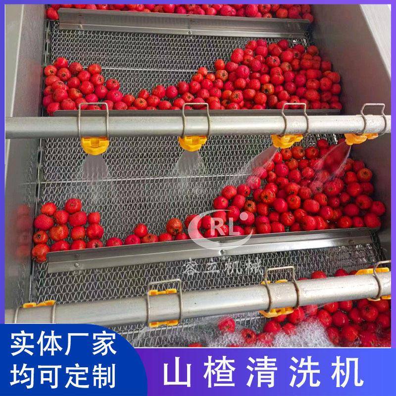草莓喷淋式清洗成套设备果蔬清洗去泥去杂去油污气泡清洗机洗菜机