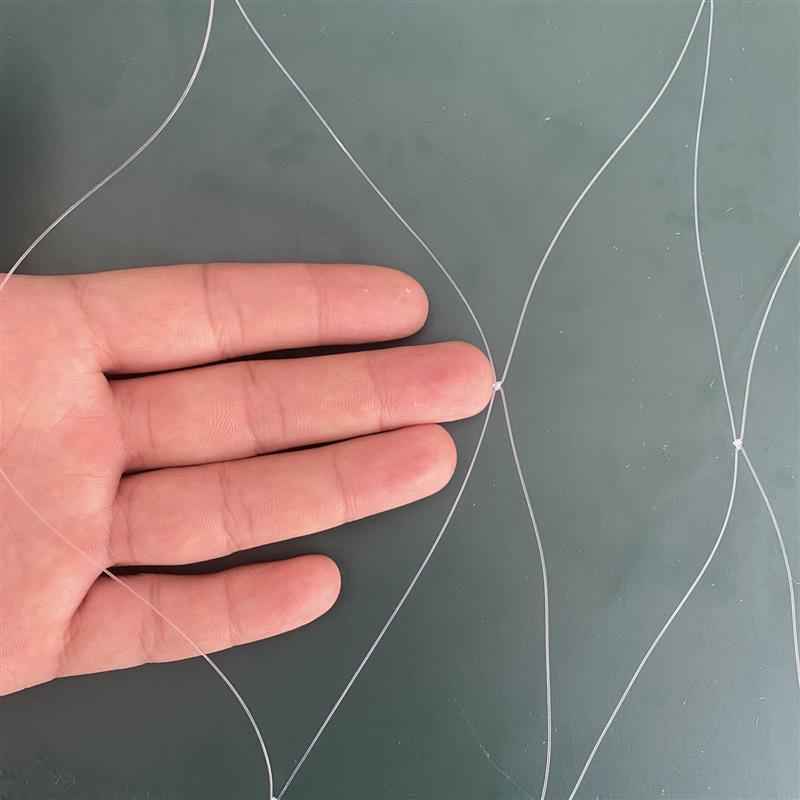 鱼塘防鸟网尼龙网防白鹭防大鸟10厘米网孔泥鳅青蛙养殖场防鸟天网