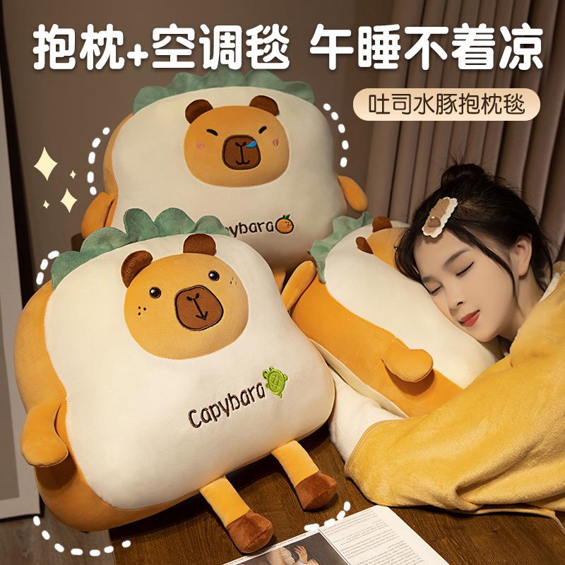 水豚抱枕毯子二合一女生睡觉专用办公室午睡毯小枕头车用被子两用