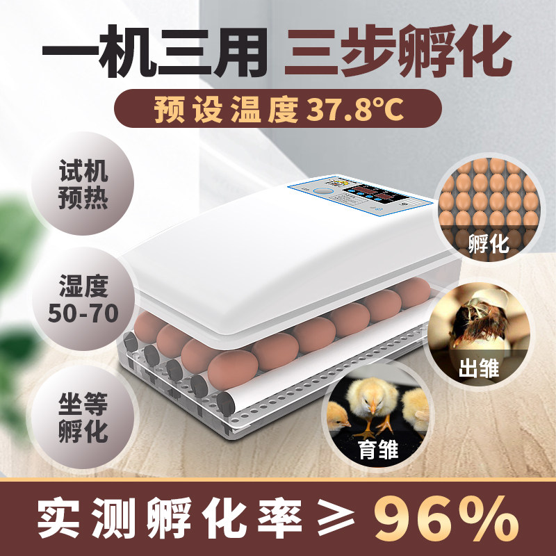 全自动智能孵蛋器 家用迷你鸡蛋孵化器 恒温水床孵蛋机 支持照蛋