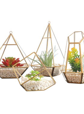 现代简约办公室几何玻璃罩子花房摆件装饰品创意家居客厅桌面摆设