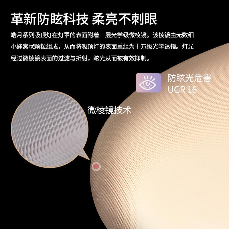 鹅卵卧石客厅灯225年X2855新款创意吸0顶灯大灯厅护眼室灯中山灯