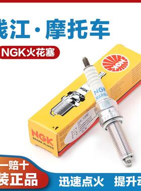 适用于 于钱江鸿150RS机车鸿250 350阳光壹米125CC迅迪诺150火花