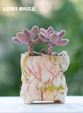 鹿鸣 肉沫romo618新品幻彩熔岩老桩爆裂树皮扭曲大口径粗陶多肉盆