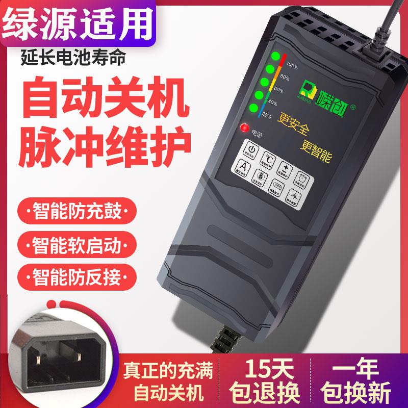 自动断电电动车绿源电瓶车适用充电器两孔60V72V20A20ET30E2T通用