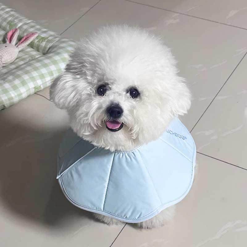 宠物狗狗伊丽莎白圈猫防舔项圈绝育耻辱圈头套防水软圈小型犬防抓,宠物/宠物食品及用品,宠物伊丽莎白圈,淘宝优惠券,粉丝福利购,淘宝优惠卷