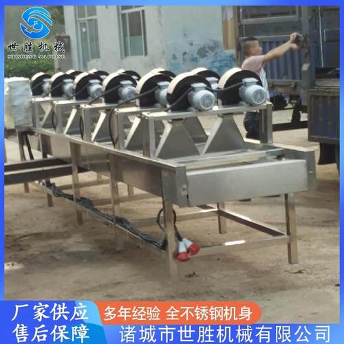 不锈钢菊花清洗风干机设备 枸杞风干机 辣椒清洗风干机设备