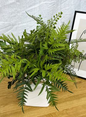 厂家直销仿真绿植蕨类草肾蕨叶波斯绿植摆件家居假植物墙装饰
