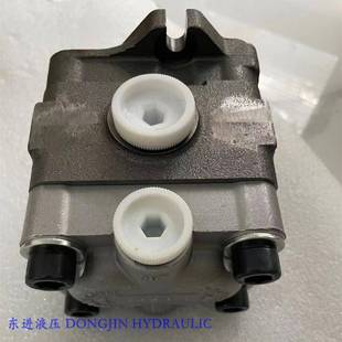 14G5 11G5 9AG5 6G3 PVD系列齿轮泵 Nachi