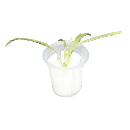 温室种菜土栽培设备蔬菜水培定植篮固根器加深定植杯植物控根器