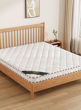 天然椰棕榈床出垫硬垫子家10104560折用卧室儿童榻榻米叠软房席梦