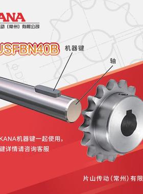 SU1SFBN40B成齿数：10~5不锈钢品孔链QVP轮新规JIS键槽格