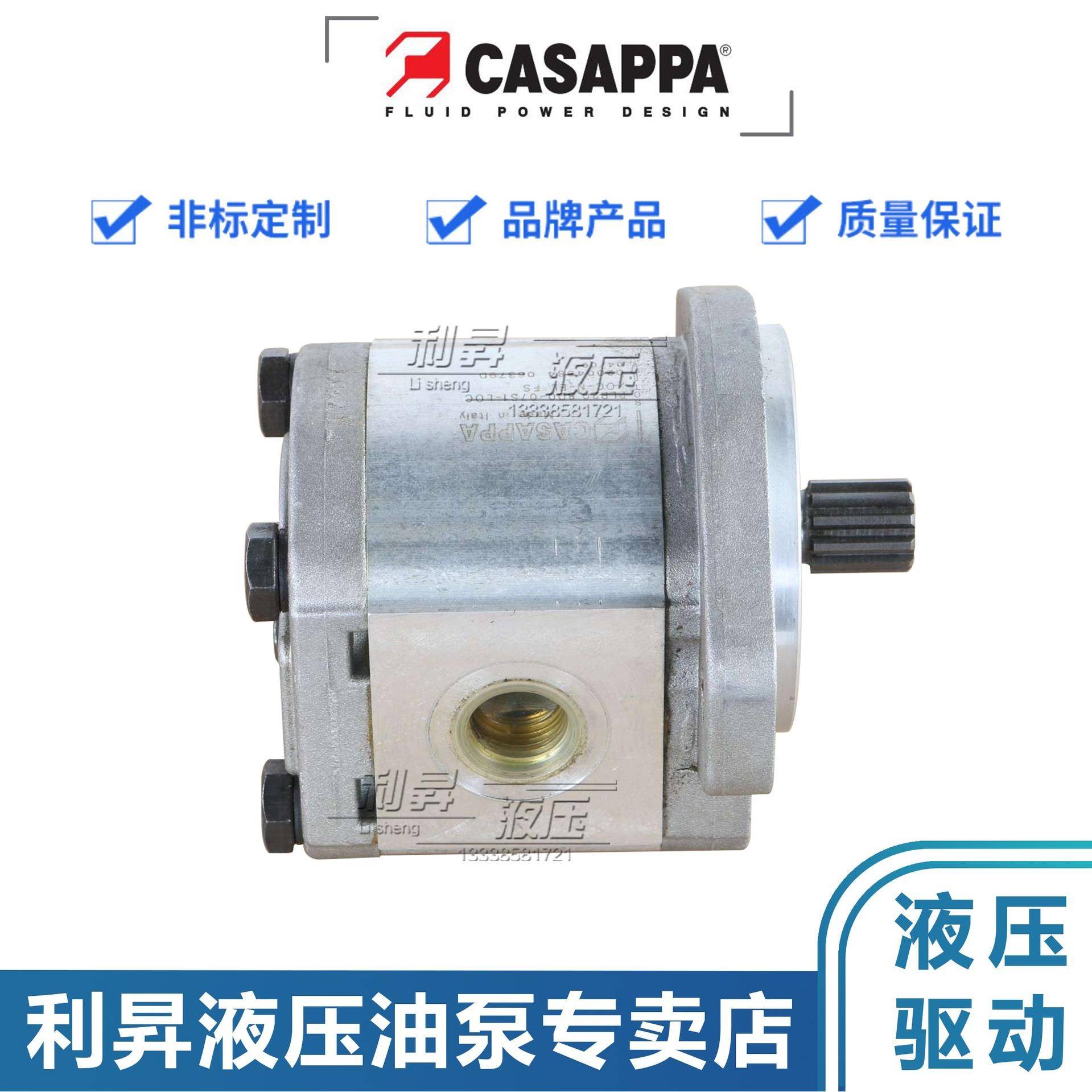 凯斯帕Casap4pIEWaL油泵0齿轮泵PLP20./63/8/11.2D-82.E2-LEA/EA-