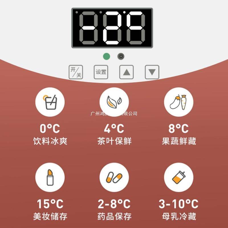 菱帅车载迷你小冰箱迷你宿舍出租房小型母乳单人用冷藏箱车家两用