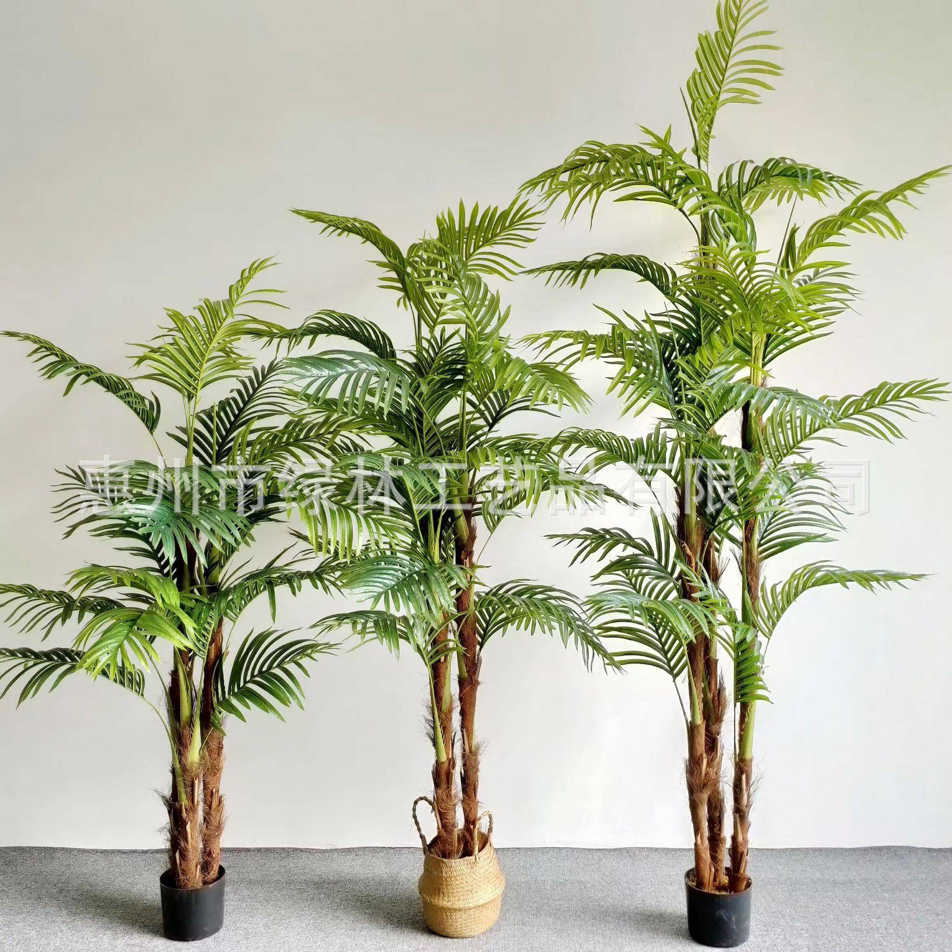 真仿散尾葵绿植装饰商场居盆栽凤尾落地植家物细竹葵LL-21仿葵真