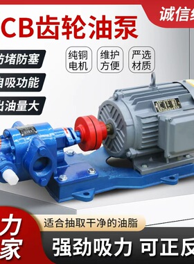 KCB齿轮泵油泵18.3/33.3/55/83.3自吸抽油柴油高压液压不锈钢380V