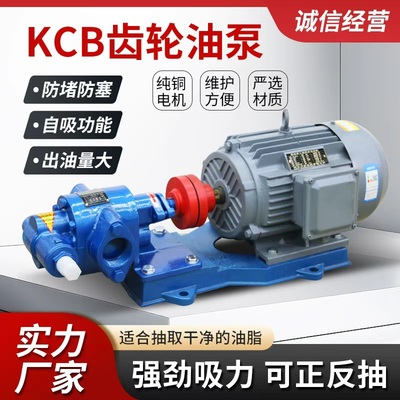 KCB齿轮泵单三相油泵不锈钢