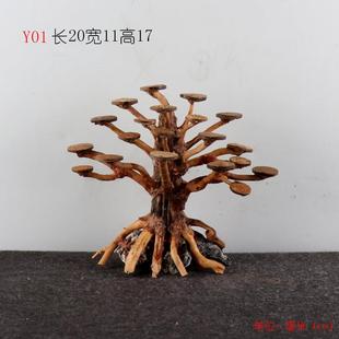 莫斯树成品鱼缸造景沉木迎客松树形骨架草缸水草水榕造景树巴西树