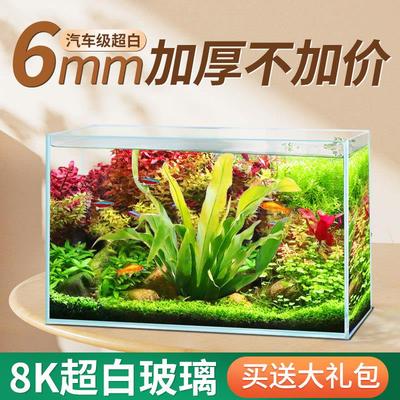 贝森金晶五线 线超白鱼缸玻璃桌面大2024新款小型客厅溪流缸生态