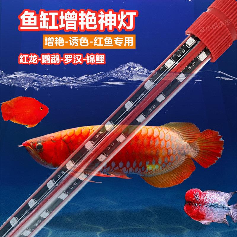 鱼缸增艳神灯红龙鱼专用灯增色仟鱼灯鹦鹉鱼锦鲤潜水防水led红灯