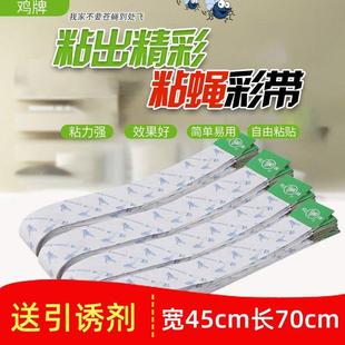 粘蝇纸苍蝇贴强力诱捕苍蝇蚊子飞虫粘蝇板双面家用鸡牌粘蝇彩带条
